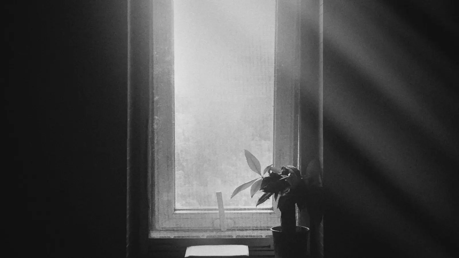 Sunlight filtered through a darkened residential window
